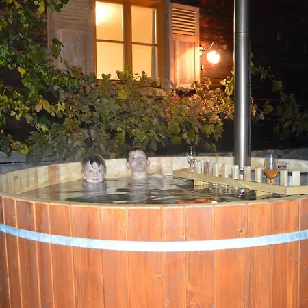 Дом отдыха Bognerhof Санкт-Файт (Понгау)