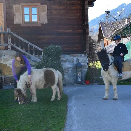 Bognerhof بيت للعطل