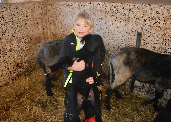 Bognerhof Prázdninový dům *